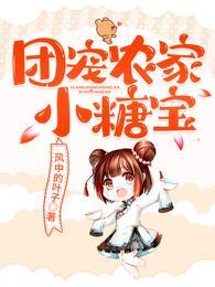 轩辕晨苏锦