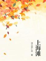 上海滩电视剧全集免费观看