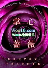 掌心蔷薇池墨何枝免费阅读