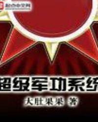 超级军功系统 大肚果果