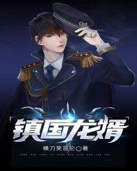 镇国龙婿萧辰笔趣阁