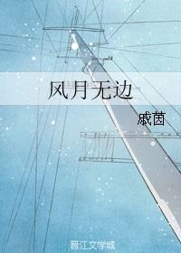 林家成的风月无边