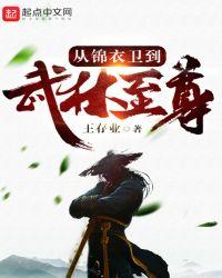 武侠从锦衣卫到武林至尊