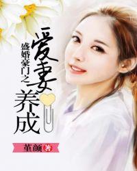 盛婚豪门之爱妻养成记