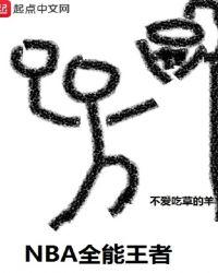 篮坛全能王者