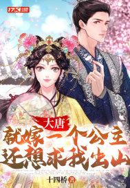 穿越大唐娶公主的